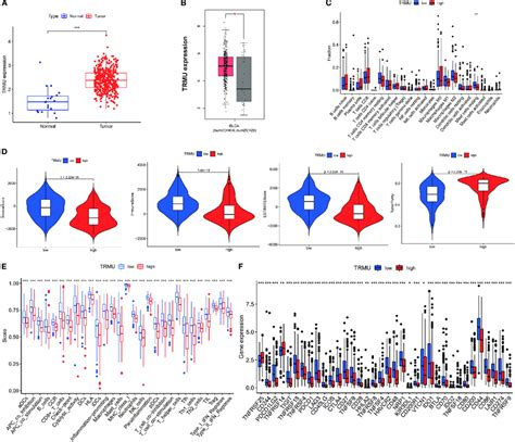 Correlation Between TRMU And Immunological Features A The Expression