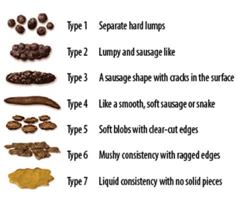 What causes constipation in a healthy gut? | Gut Dr