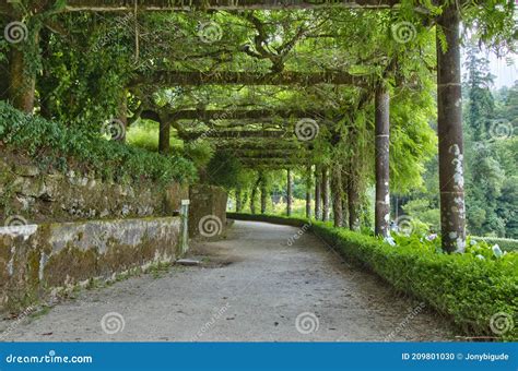 Bussaco Palace Gardens, Portugal Stock Photo - Image of bussaco, house ...