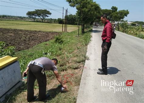 Kecelakaan Di Blora Pengendara Motor Tewas Hantam Pick Up Terparkir