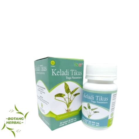 Jual Kapsul Keladi Tikus Toga Nusantara Kapsul Obat Herbal