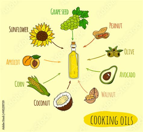 Hand drawn infographic of cooking oil sorts. Different kinds of edible ...