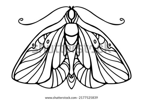 Butterfly Outline Coloring Book Vector Illustration 库存矢量图（免版税）2177525839 Shutterstock