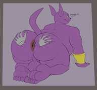 Post Champa Dragon Ball Series Rokie