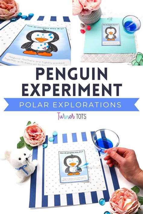 6 Polar Animals Science Activities For Toddlers To Discover Arctic