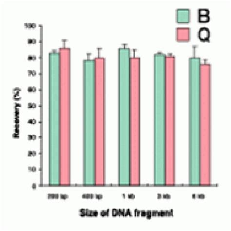 AccuPrep PCR Purification Kit 50 Rxns