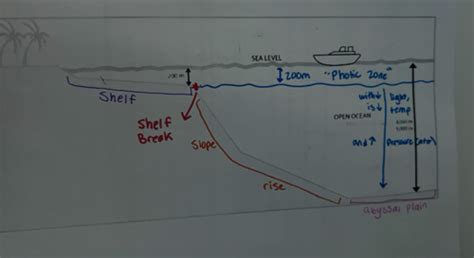 Marine And Aquatics Flashcards Quizlet