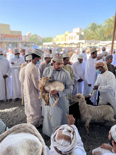 The Goat Trader : r/AccidentalRenaissance
