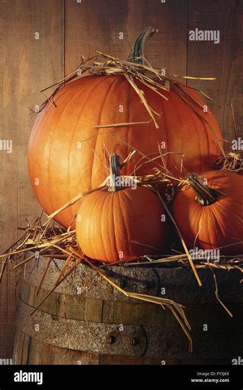 Barrel Of Pumpkins Hi Res Stock Photography And Images Alamy