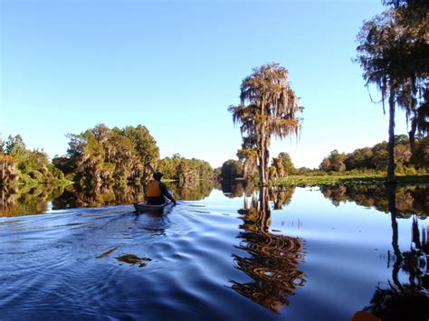 Penobscotpaddles Withlacoochee River To Rainbow River Dunnellon Florida