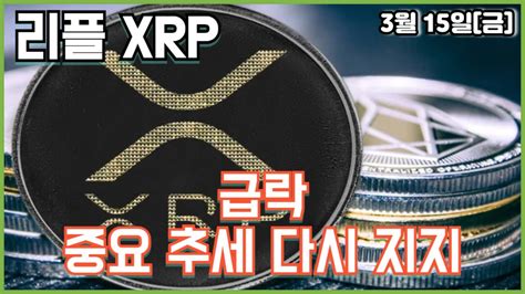 리플 Xrp 급락 중요 추세 다시 지지 Youtube