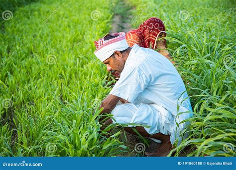 Pictures Of Indian Farmers Working In Fields