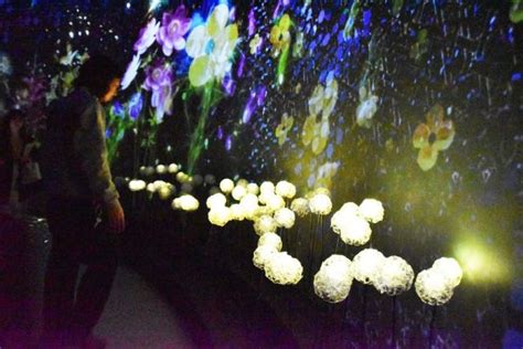 日本橋日本一早いお花見FLOWERS BY NAKED 火 開幕 最新技術を使った体感型アート空間 metropolitana tokyo メトロポリターナトーキョー