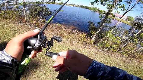 Catching Big Bass On Big Jigs Pond Fishing Video Dailymotion