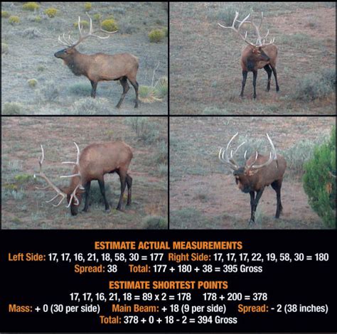 Jay Scott Outdoors Field Judging Elk And Scoring Elk Antlers 3