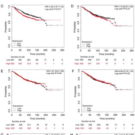 The Prognostic Effects Of E2Fs On Overall Survival Kaplan Meier