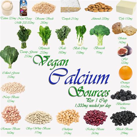 Where Do Vegans Get Their Calcium? - Ater Imber