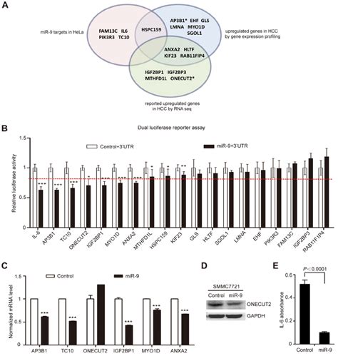 Comprehensive Screening For MiR 9 Downstream Target In HCC A