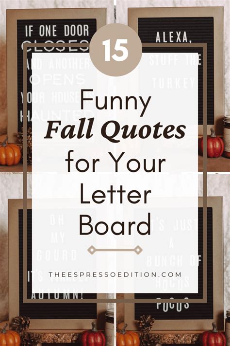 15 Funny Fall Letterboard Quotes for Pumpkin Season