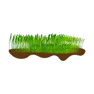 Green Grass Plants White Transparent Grass Realistic Green Plants