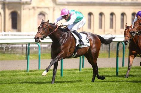 Colombier La Fiche Canalturf Du Cheval Performances Pmu P Digr