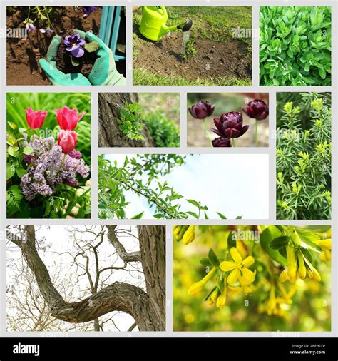 Spring Season Collage Stock Photo Alamy