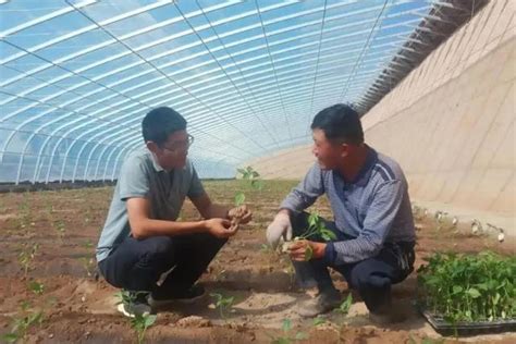 大棚蔬菜定植前，「消毒」是關鍵，這三步必不可少，你做對了幾步 每日頭條