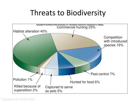 Ppt Threats To Biodiversity Powerpoint Presentation Free Download Id 1892603