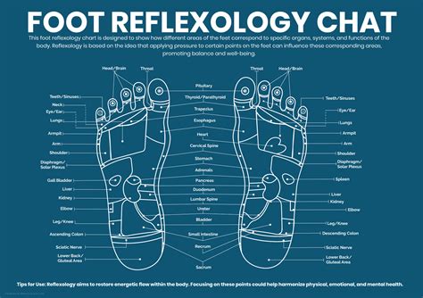 printable reflexology foot chart pixel glasgow