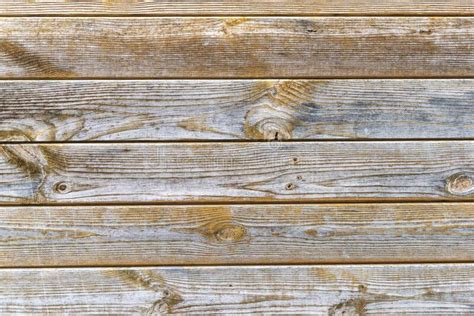 Old Scratched Wooden Background With Pieces Of Old Paint And Screws