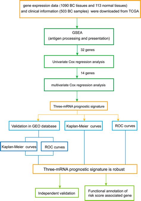 POR Development Of A Novel Prognostic Signature Based On Antigen