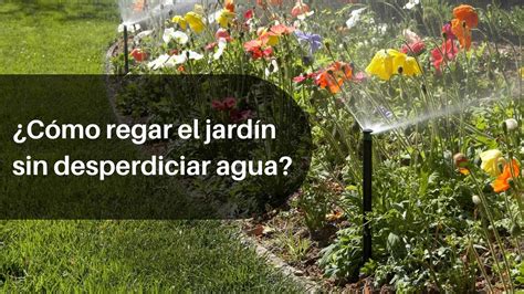 C Mo Regar El Jard N Sin Desperdiciar Agua Viga Innovaci N Hidr Ulica