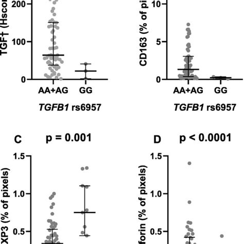 Quantifications Of The Tumor Microenvironment Markers In Mantle Cell