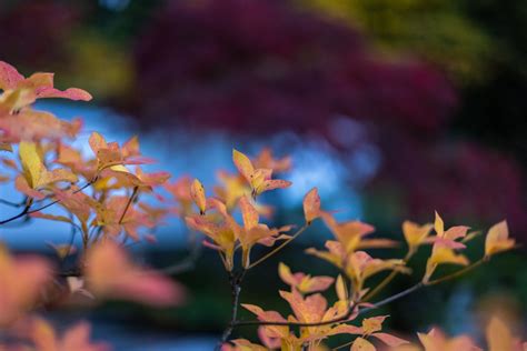 When Does Fall Officially Begin In Oregon