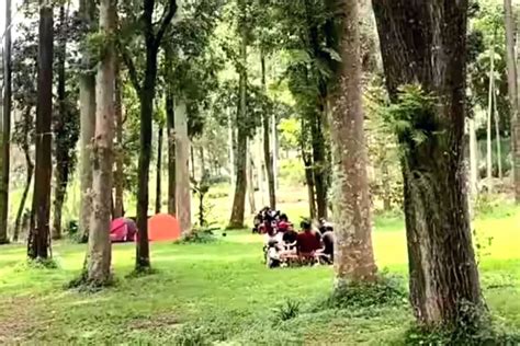 Ini Camping Ground Di Kabupaten Malang Dengan Pemandangan Terbaik