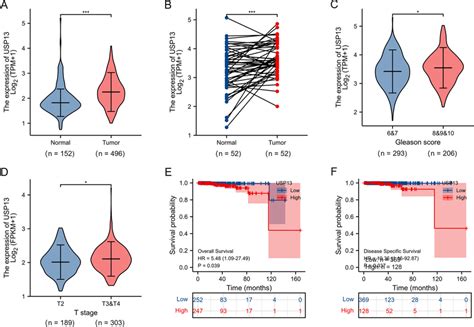 USP13 Is Highly Expressed In PCa Tumor Tissues And Is Related To Poor