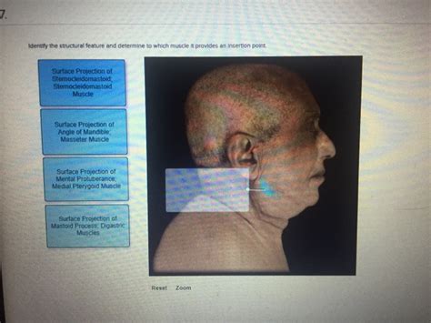 Anatomy And Physiology Archive March 02 2018 Chegg