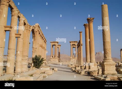 Ancient Ruin City Of Palmyra In Syria A Unesco World Heritage Site Of