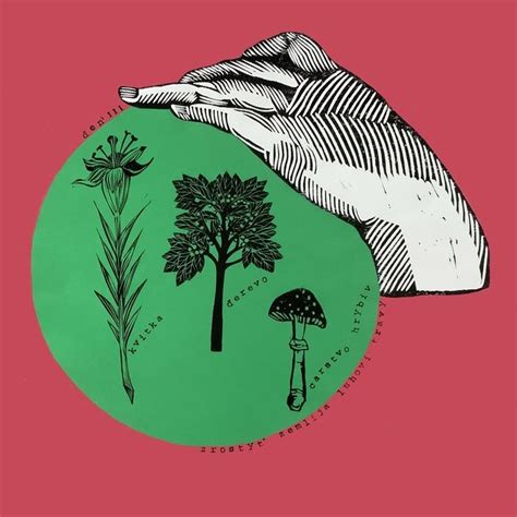 ЯЛОЗА Альбіна Юріївна