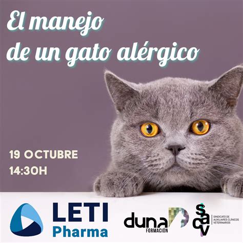 Charla El manejo de un gato alérgico LETI Pharma Curso de Auxiliar