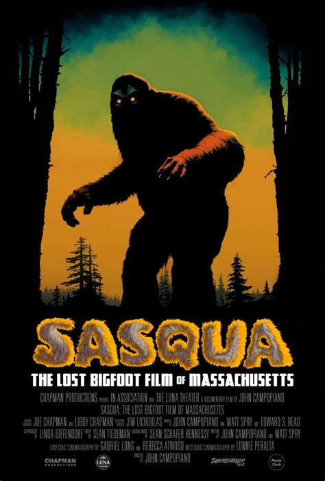 Sasqua The Lost Bigfoot Film Of Massachusetts 2024 Filmaffinity