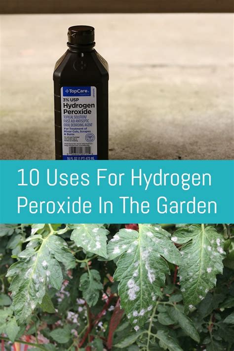 Uses For Hydrogen Peroxide In The Garden Artofit