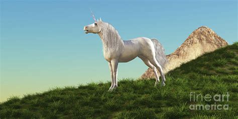 Unicorn Stallion Digital Art By Corey Ford Pixels