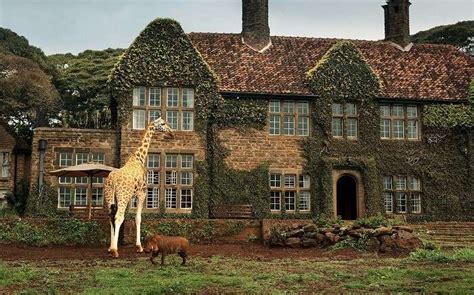 Giraffe Manor Kenya For The Joy Of Living Among Rothschilds Giraffe