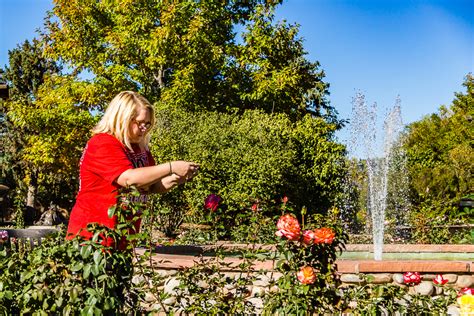 Katy Roses 0148 Tony Lazzari Photography