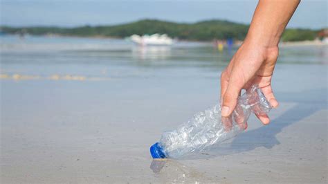 Acciones Personales Para Cuidar El Medio Ambiente El Target