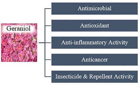 Health benefits of geraniol | Download Scientific Diagram