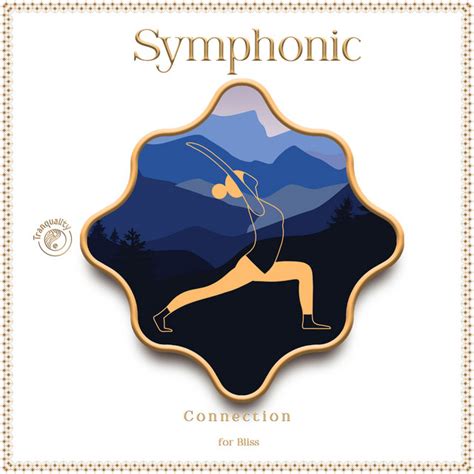 Zzz Symphonic Connection For Bliss Zzz Album By Yoga Trainer Spotify