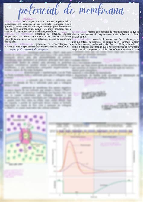 Solution Potencial De Membrana Studypool