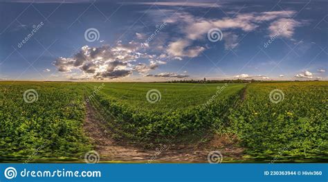 Dark Blue Sky Before Sunset With Beautiful Awesome Clouds Seamless